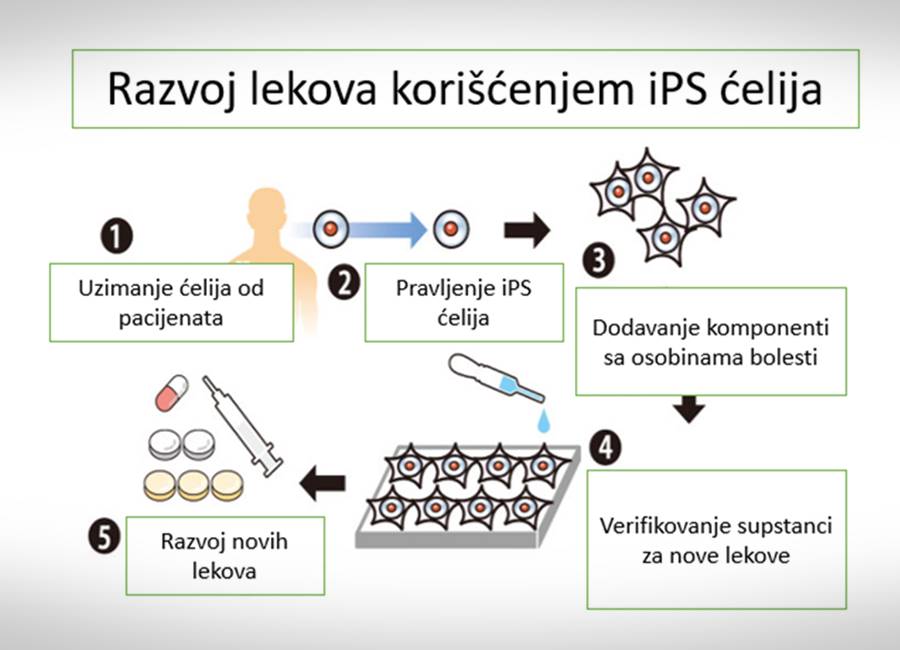 razvoj lekova koriscenjem ips celija